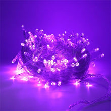 Load image into Gallery viewer, Christmas Outdoor Lighting 20/30/50/100M LED Street Garland Fairy String Lights Decor For Garden Park Entrance 8 change Luminous
